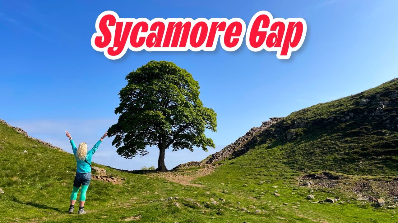 Sycamore Gap - Hadrians Wall - Northumberland 250 Roadtrip
