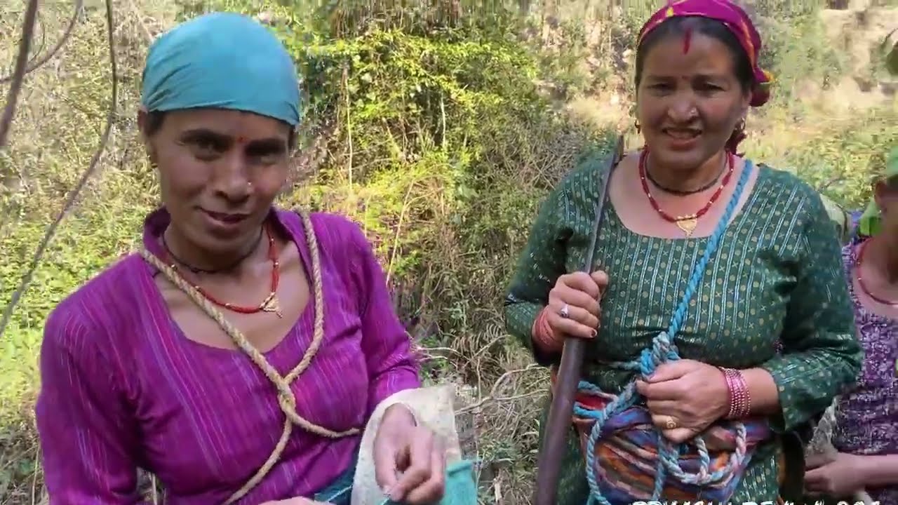 आज काफ़ी साल से आये सभी लोग इस जगल की तरफ़ इतना जादा गानागोर ह 