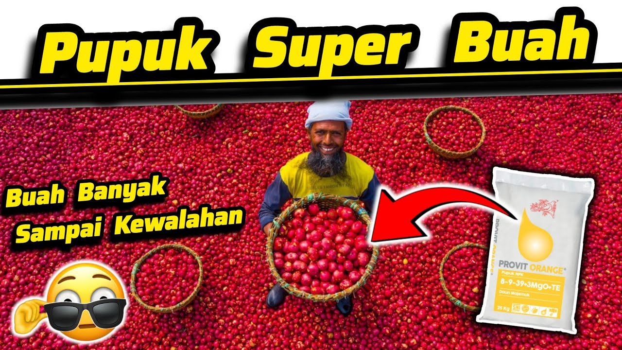 ✔️✔️ Pupuk Booster Buah Lebat ✔️✔️ Racik Pupuk Perangsang Buah ✅ Banyak Bunga Buah Tambah Lebat ✔️✔️