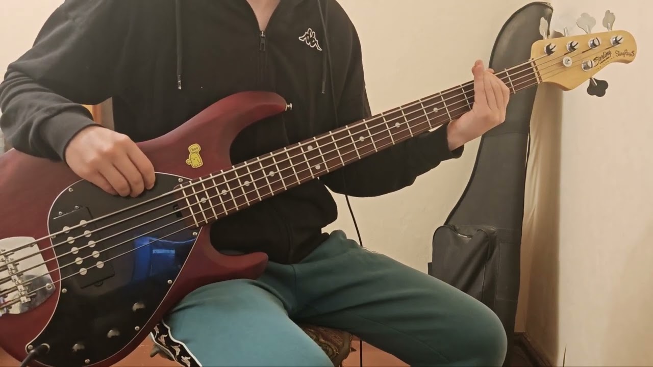 Noothgrush — Erode the Person (Bass cover) 