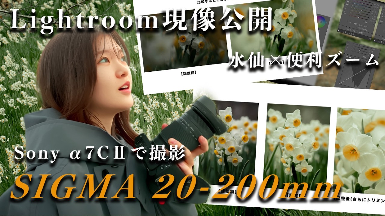 【現像大公開】Sony α7C IIとSIGMA 20-200mmで水仙を撮る