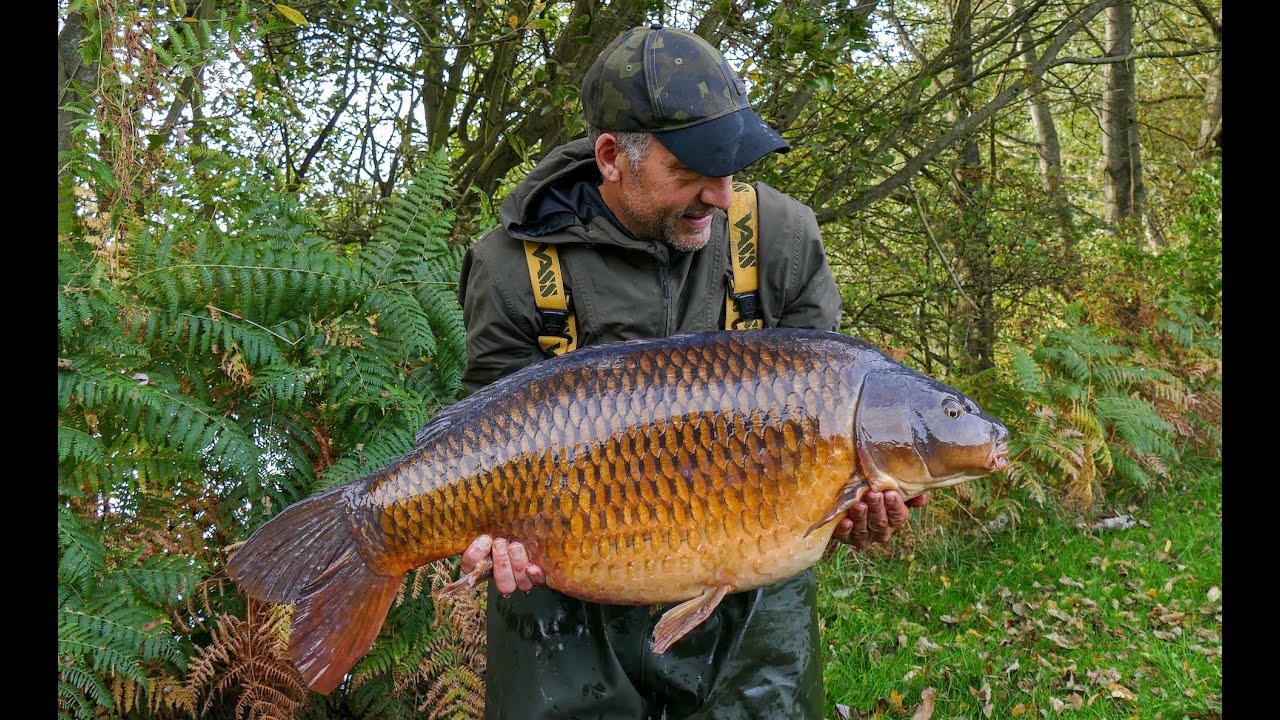 Five-star CARP fishing in England!