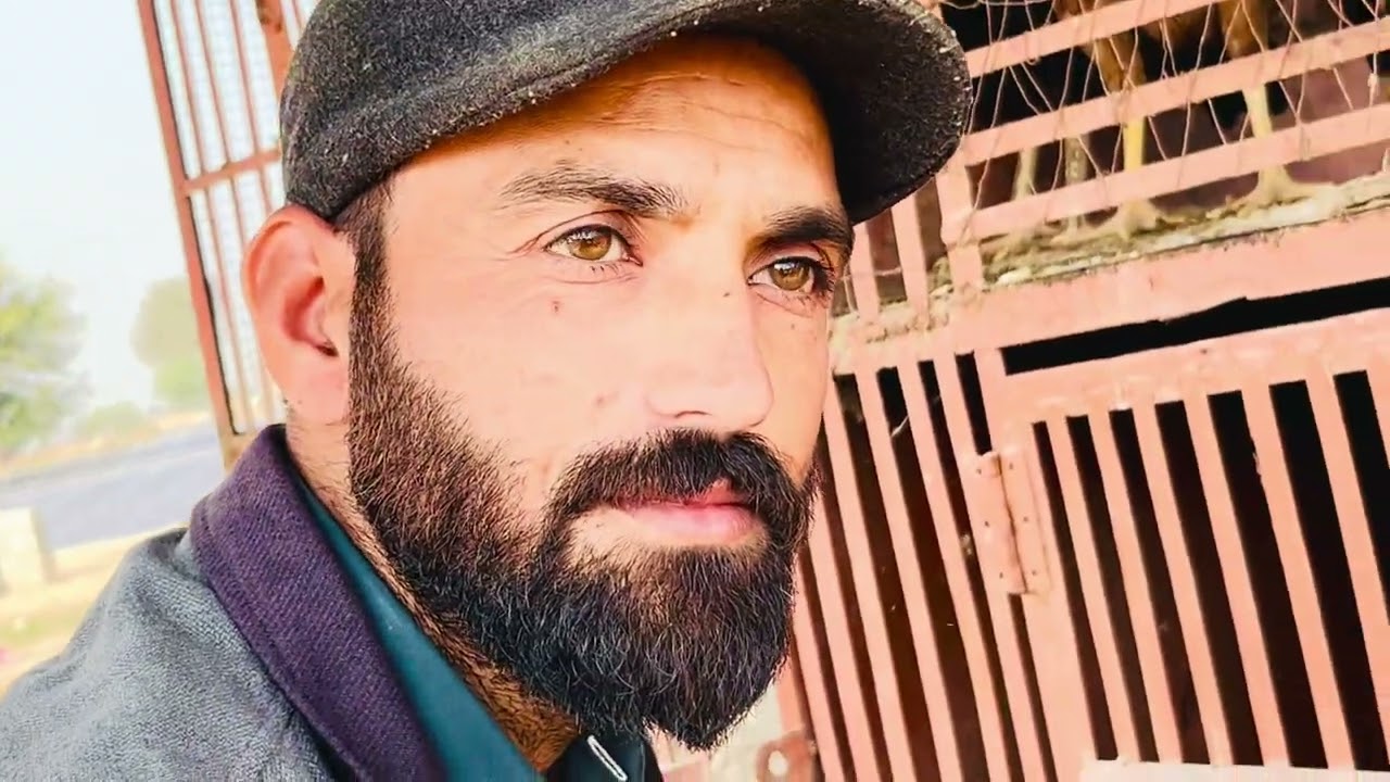 میرے دوست کا ڈیرہ
