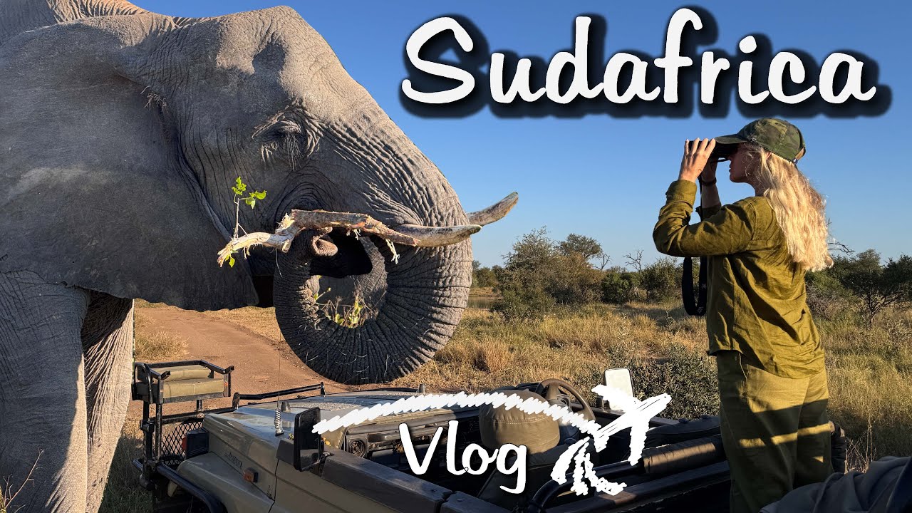 Sudafrica Tour Completo 🇿🇦 Da Cape Town al Kruger Park – Il Viaggio che Cambia Tutto!