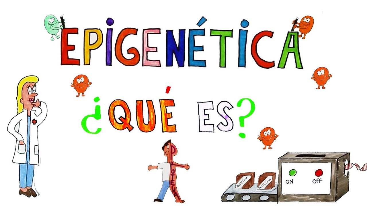 ¿Qué es la EPIGENÉTICA?