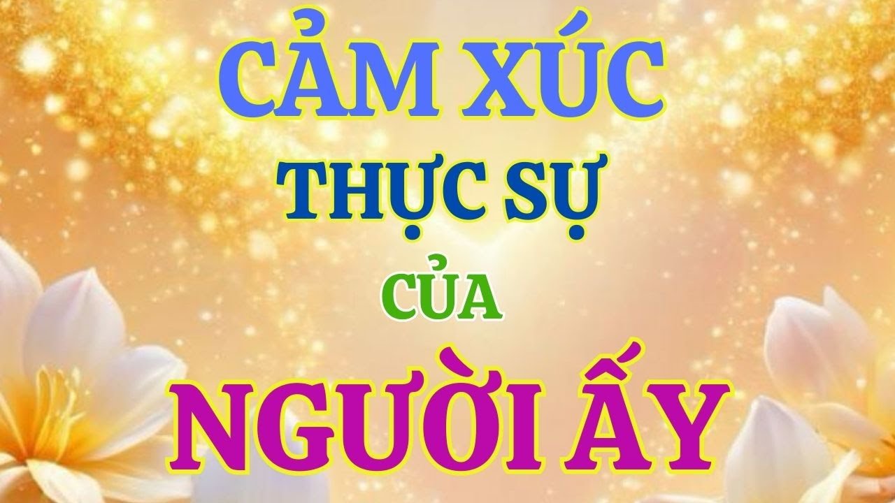 TAROT : CẢM XÚC THỰC SỰ CỦA NGƯỜI ẤY DÀNH CHO BẠN