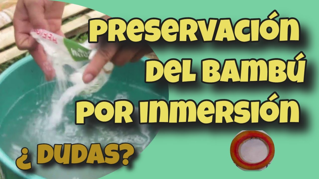 🟢9 PUNTOS EN EL PROCESO DE PRESERVACIÓN POR INMERSIÓN. ⛔️ ¿Tienes más dudas? 📣