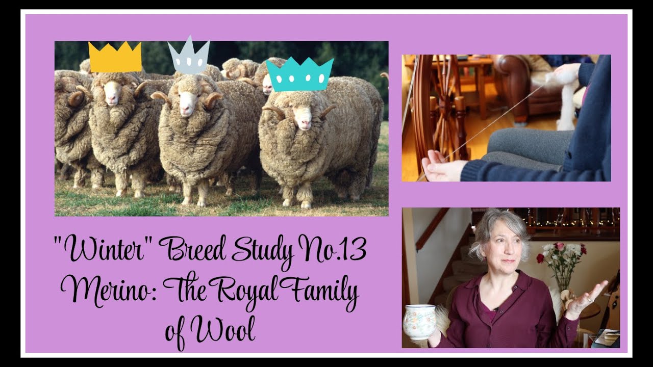 Winter Breed Study No.13: Merino | Knitting |Spinning Long Draw