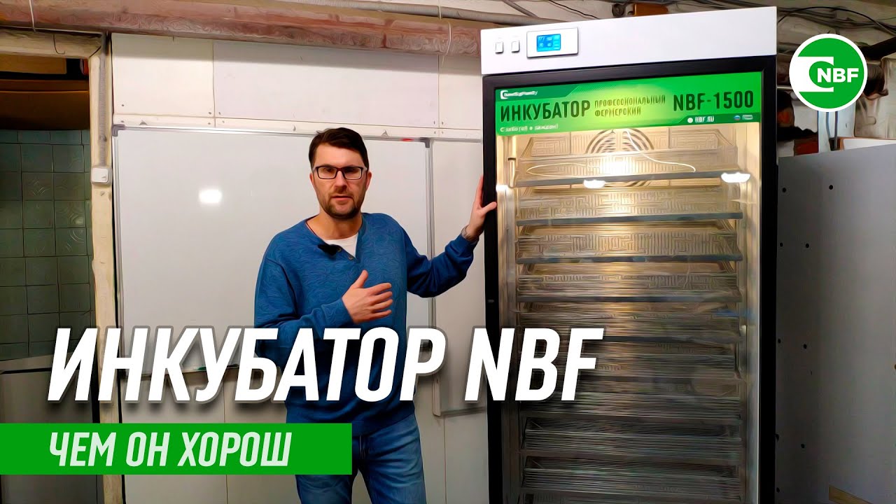 Чем хорош инкубатор NBF