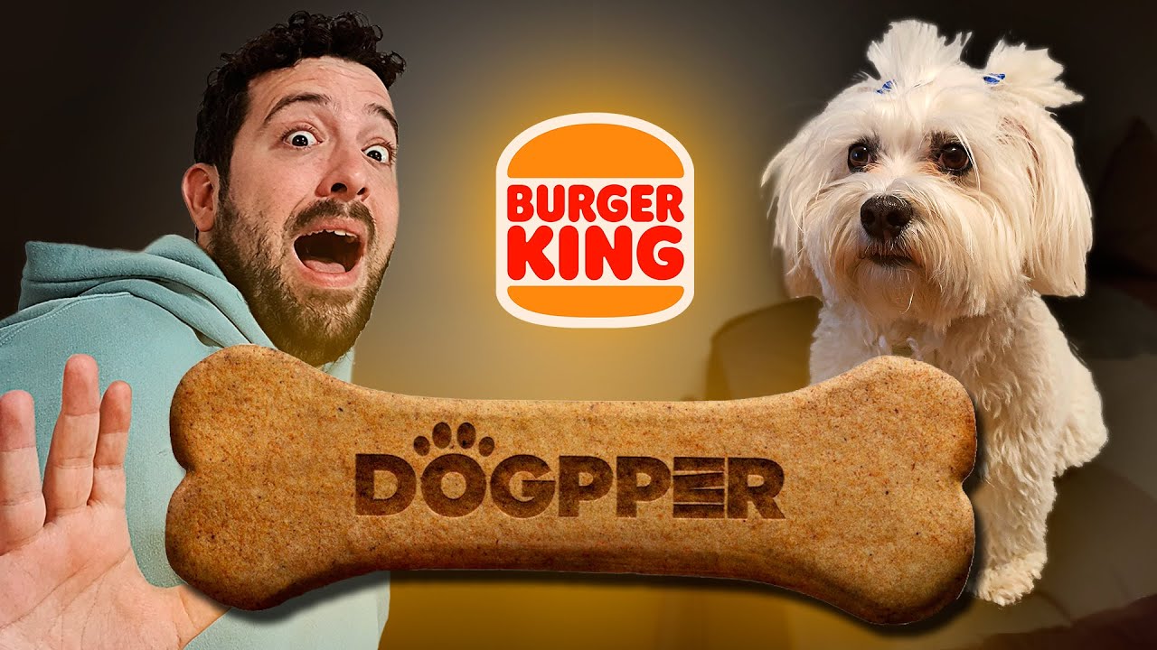 ¡MI MASCOTA PRUEBA BURGER KING! Probando DOGPPER el WHOPPER de BURGER KING para perros ¿LE GUSTARÁ?
