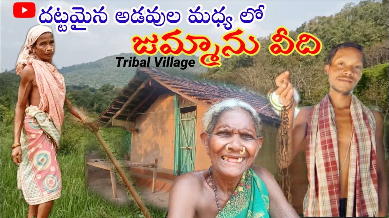 Tribal Village || Jummanu veedhi- Nookadora tribes|| Living in  forest..@Tribal Mirror