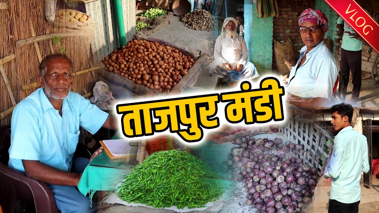 Tajpur Mandi || New Potato || SHREE SINGHANIYA WORLD