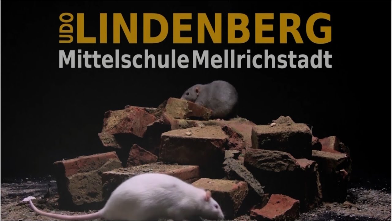 Bis es dunkel wird...