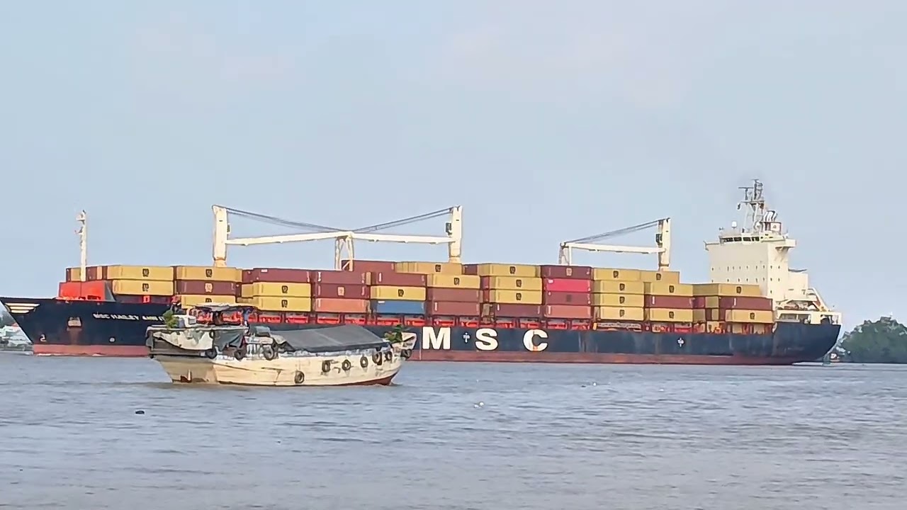 Container Ship { Msc Hailey Ann ||| (🇱🇷) }