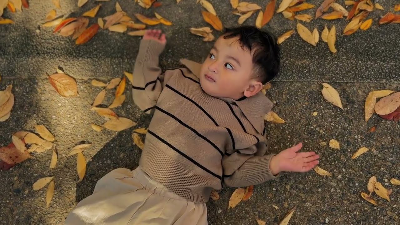 Autumn in Japan 2025 