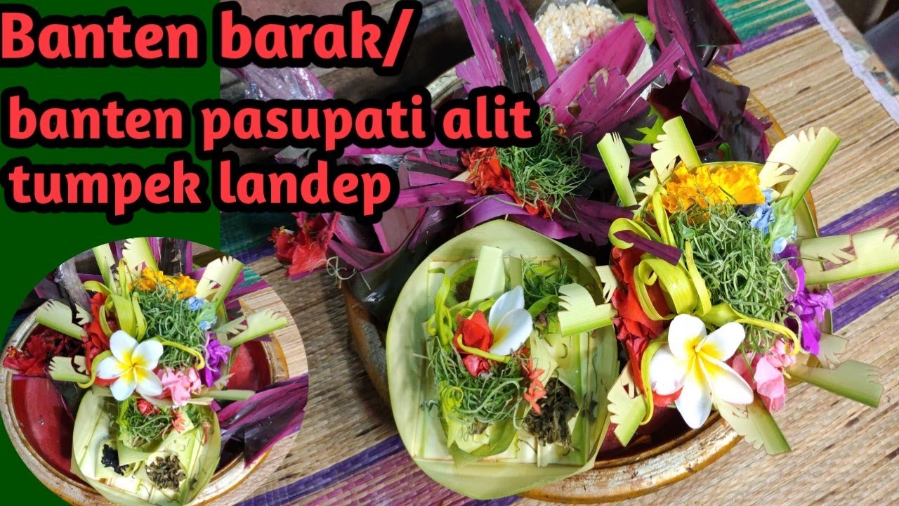 Metanding banten barak/tebasan pasupati alit untuk tumpek landep