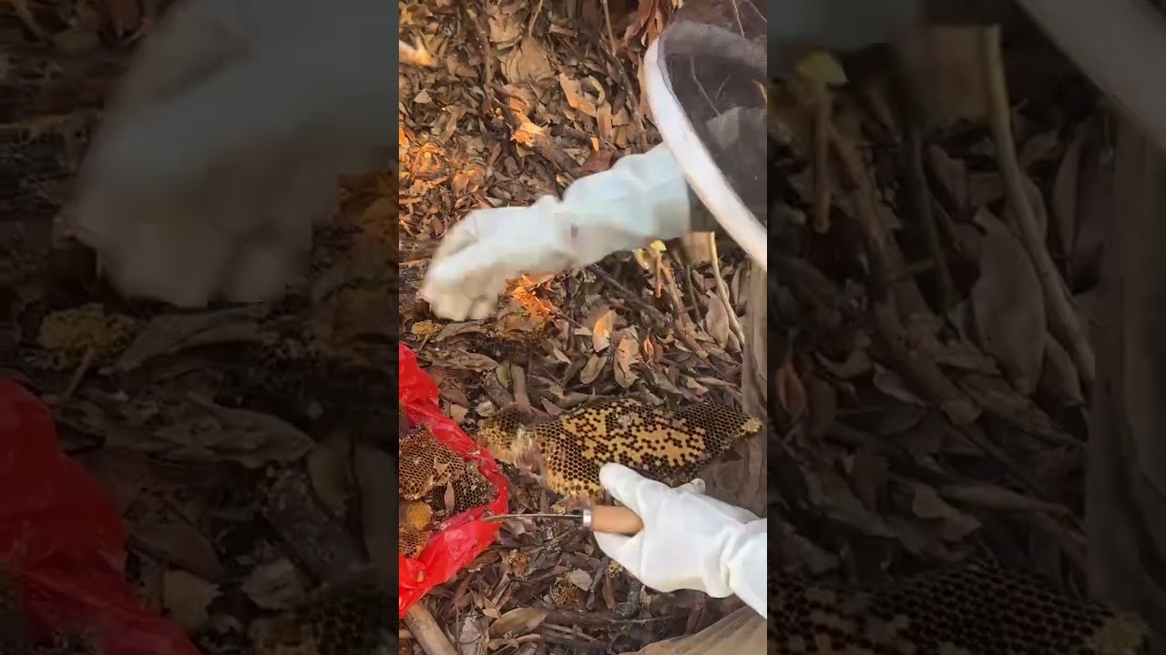 Say hello to each other for 1 hour and bring luck home