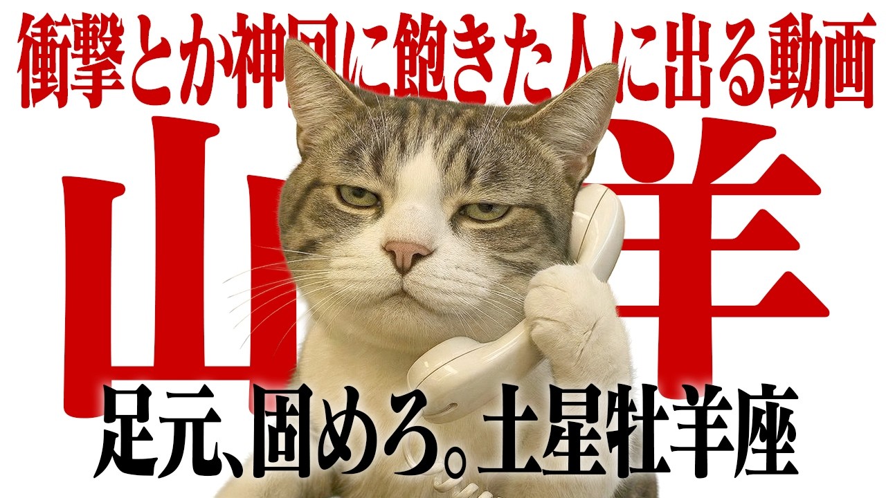 【山羊座】人生の「土台」を創り直す3年間。外側での活躍より、今は「根っこ」を深く張る時【Yokoの部屋・秘蔵タロット公開】