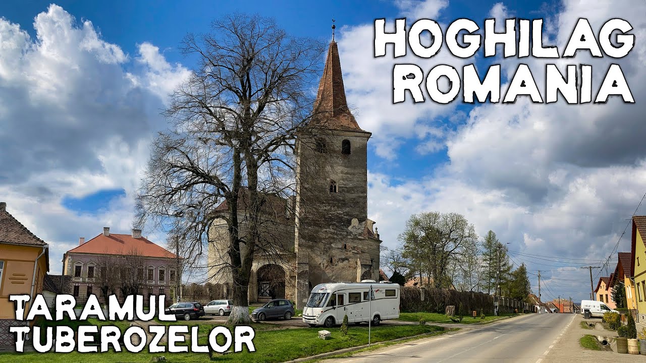 Hoghilag - tărîmul tuberozelor. Discover Romania