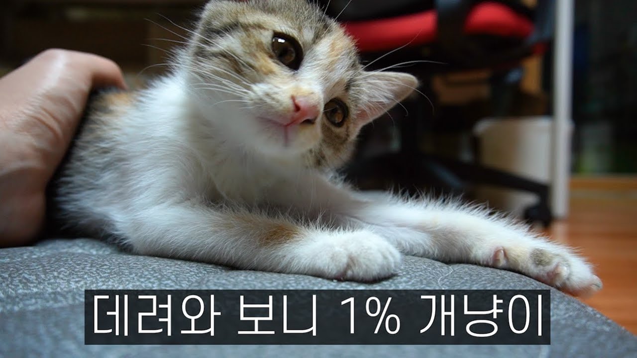 사람이 너무나 좋은가 보다.