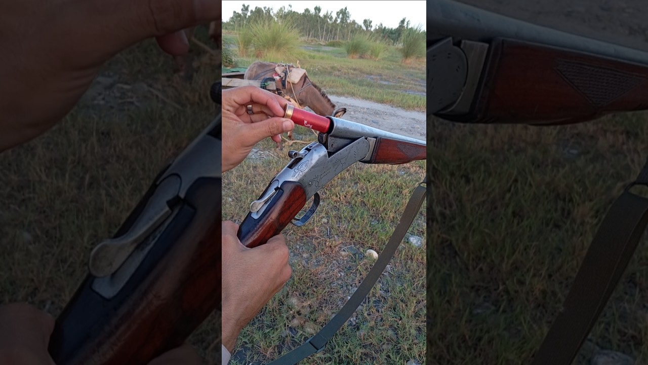 Sikandar 12 Gauge Shotgun Review: A Closer Look at Pakistan's Hunting Classic