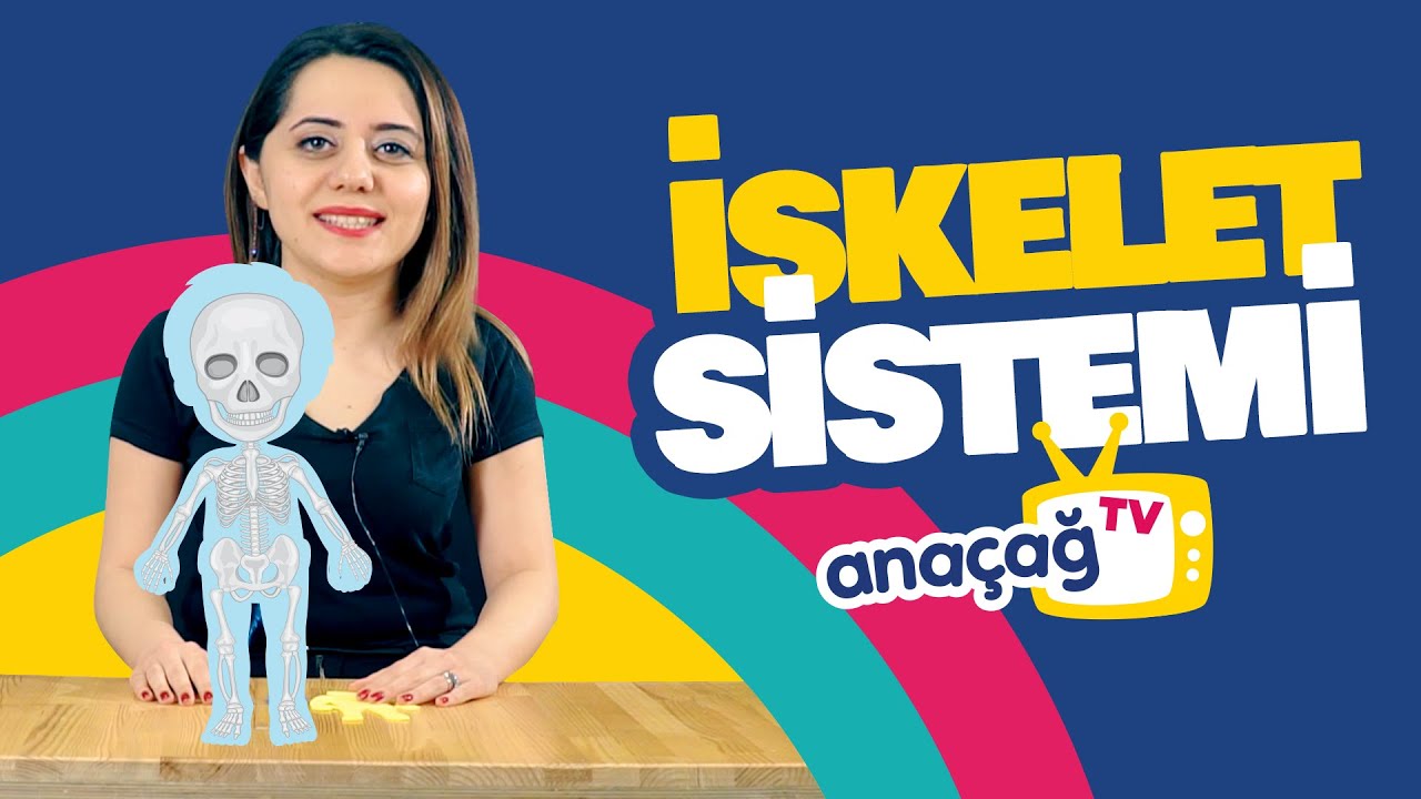 İSKELET SİSTEMİMİZİ ÖĞRENİYORUZ  / Fen ve Doğa Etkinlikleri  / ANAÇAĞ TV
