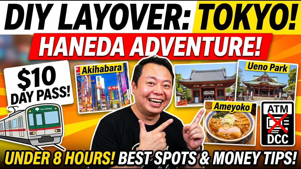DIY LAYOVER - TOKYO HANEDA IN 8 HOURS, UENO PARK, AMEYOKO, AKIHABARA ELECTRIC TOWN, TSUBAKI JORYU-JI