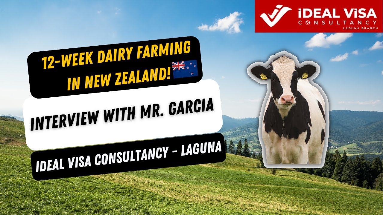 12-Week Dairy Farming Program in New Zealand!