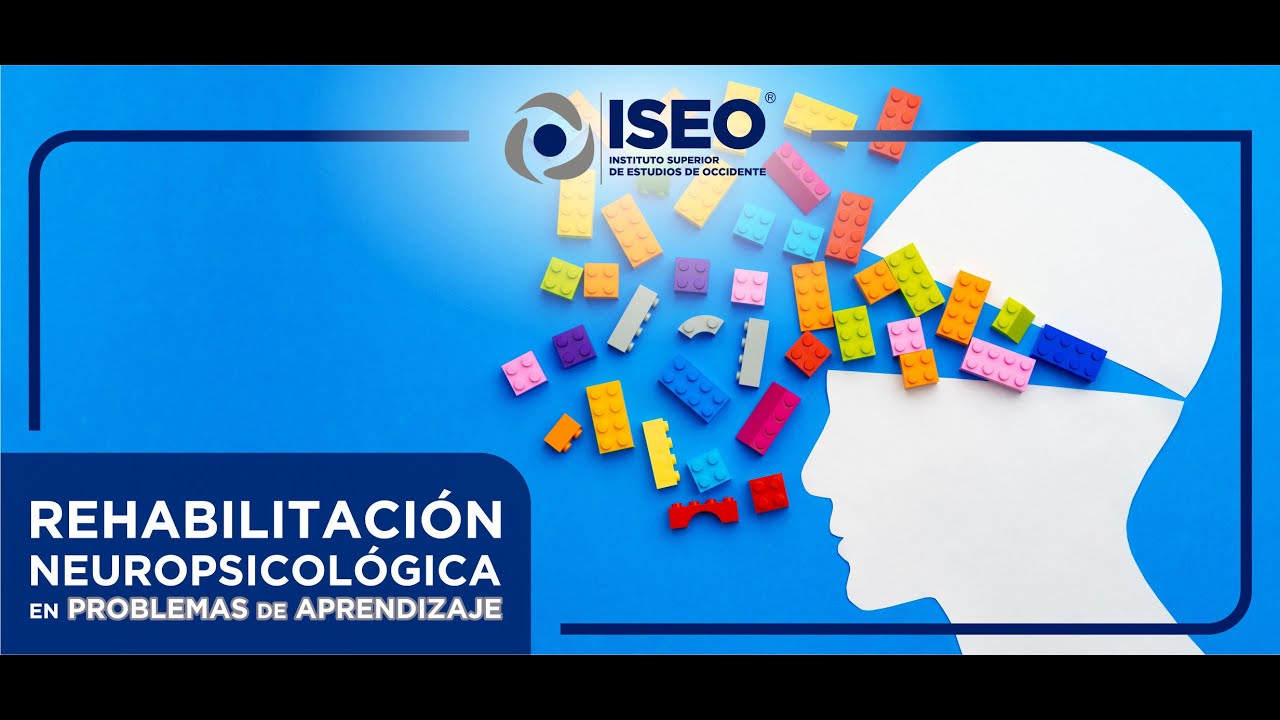 🎯 Lenguaje, Esquema Corporal y Aprendizaje: Desarrollo e Integración.