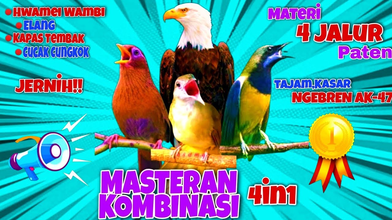 🔴Kombinasi Masteran Ampuh Untuk Burung Lomba |Materi Paling Di Cari Juri!!#kombinasimasteranampuhmp3