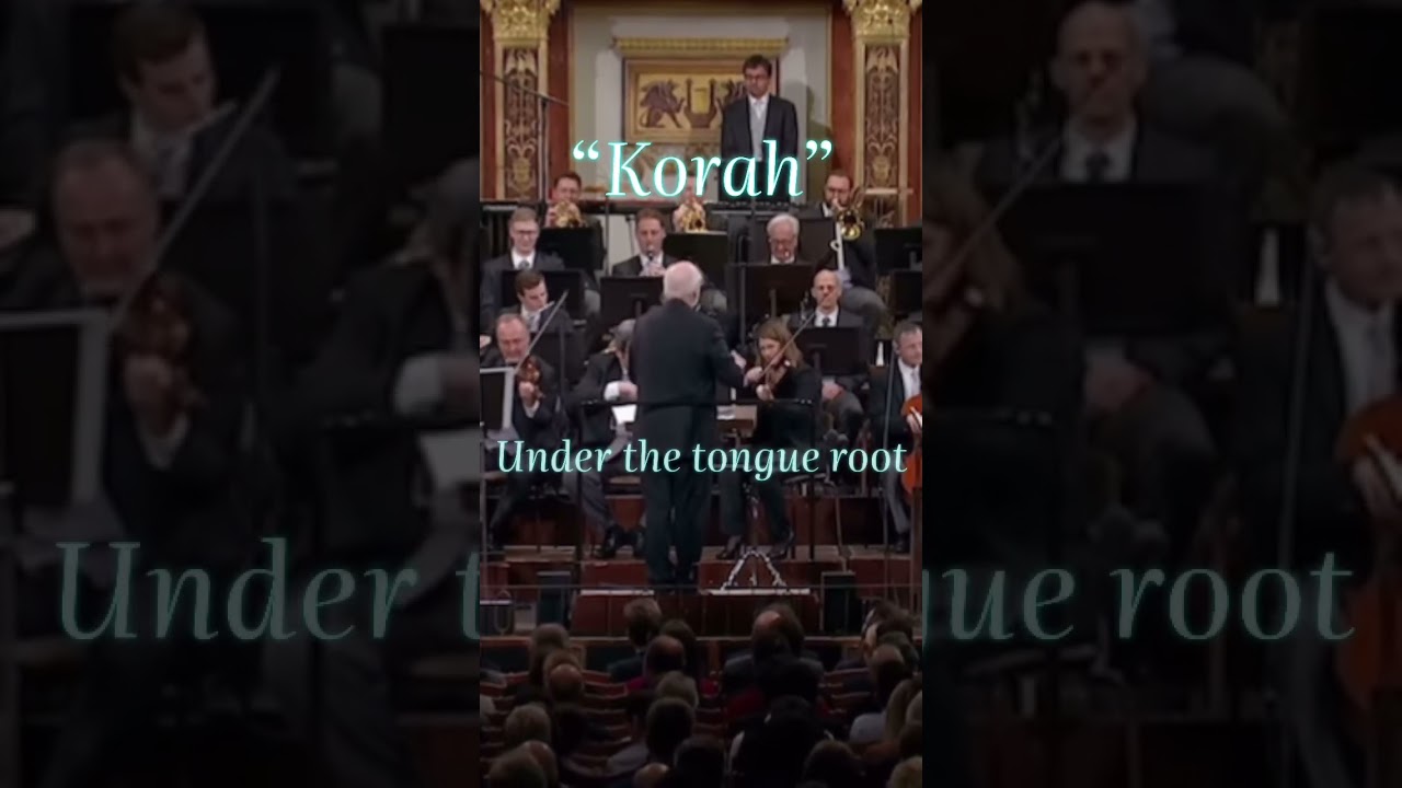 What are &ldquo;The Duel of the Fates&rdquo; Lyrics? #starwars #johnwilliams #disney #music #history #jedi #sith