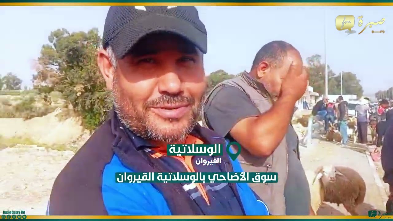 فيديو: 