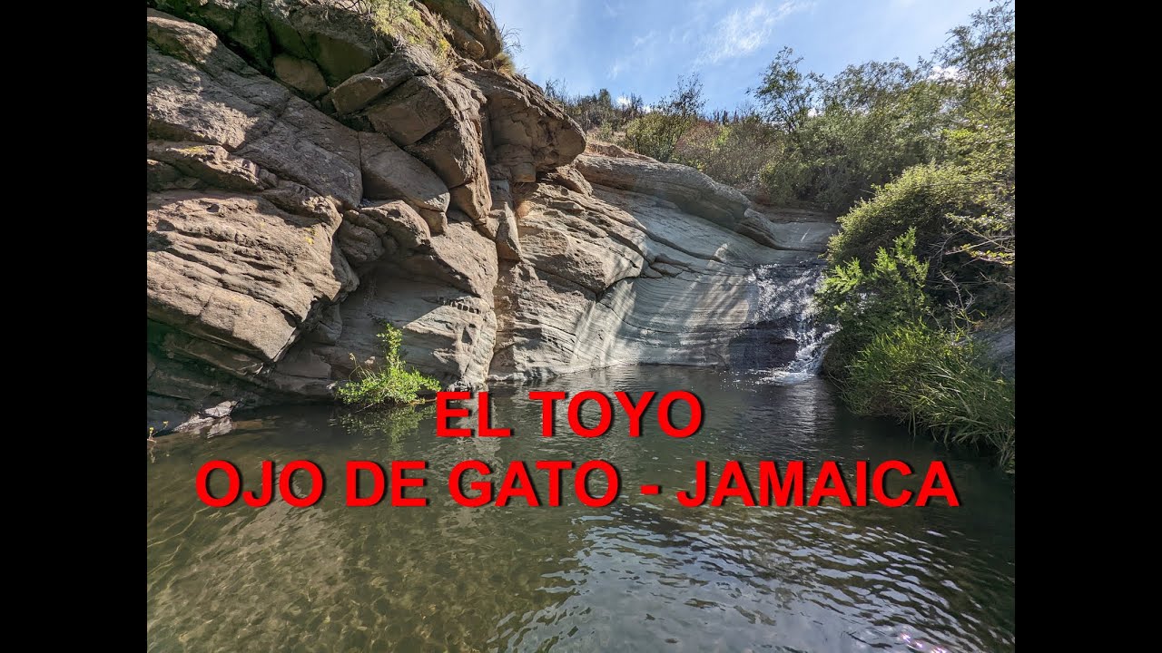 EL TOYO - ESTERO EL SAUCE (OJO DE GATO, JAMAICA) - CAJON DEL MAIPO - CHILE - 4K60