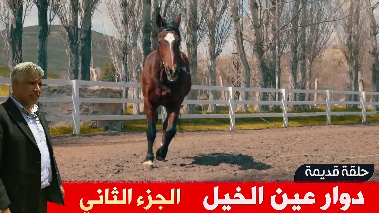 ريحة الدوار-  دوار عين الخيل : الجزء الثاني  - حلقة قديمة - Rihat Douar