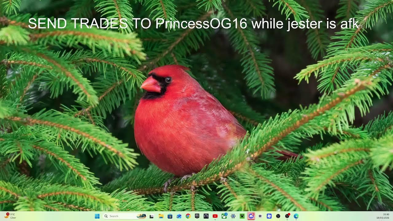 TRADING IN STEAL A BRAINROT LIVE