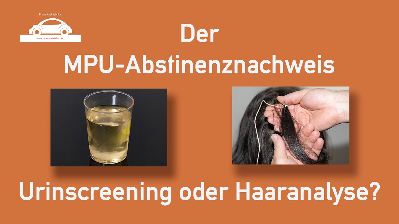 Haaraanalyse oder Urinsreening? Der Abstinenznachweis vor der MPU
