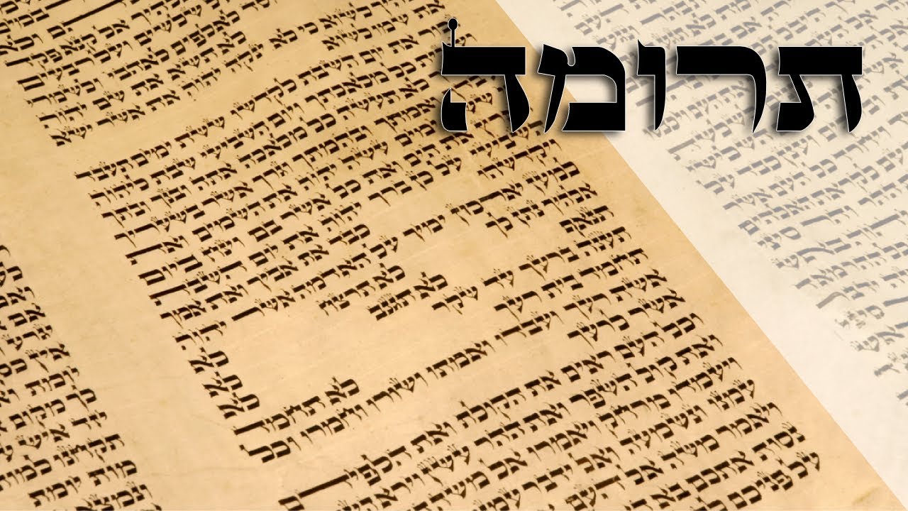 Parashat Teruma - Why the Cherubim on the holy ark ? - Rabbi Alon Anava
