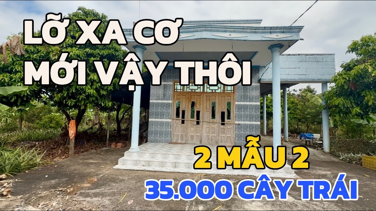 TỪNG MỘT THỜI TUNG HOÀNH | LỠ XA CƠ GIỜ ĐÀNH SANG NHƯỢNG NHÀ VƯỜN ĐẦY KỶ NIỆM VỚI 3500 CÂY TRÁI