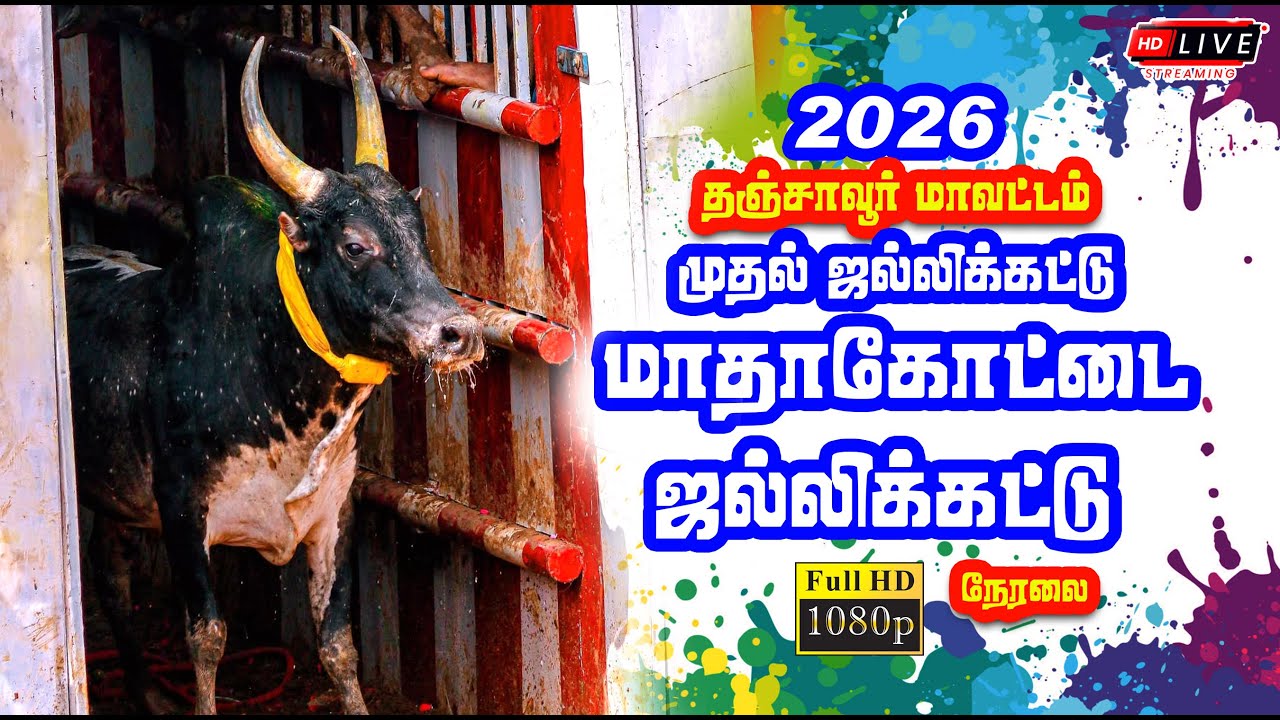 🔴 Live | மாதாக்கோட்டை ஜல்லிக்கட்டு நேரலை  / Thanjor - Madhakottai Jallikattu Live