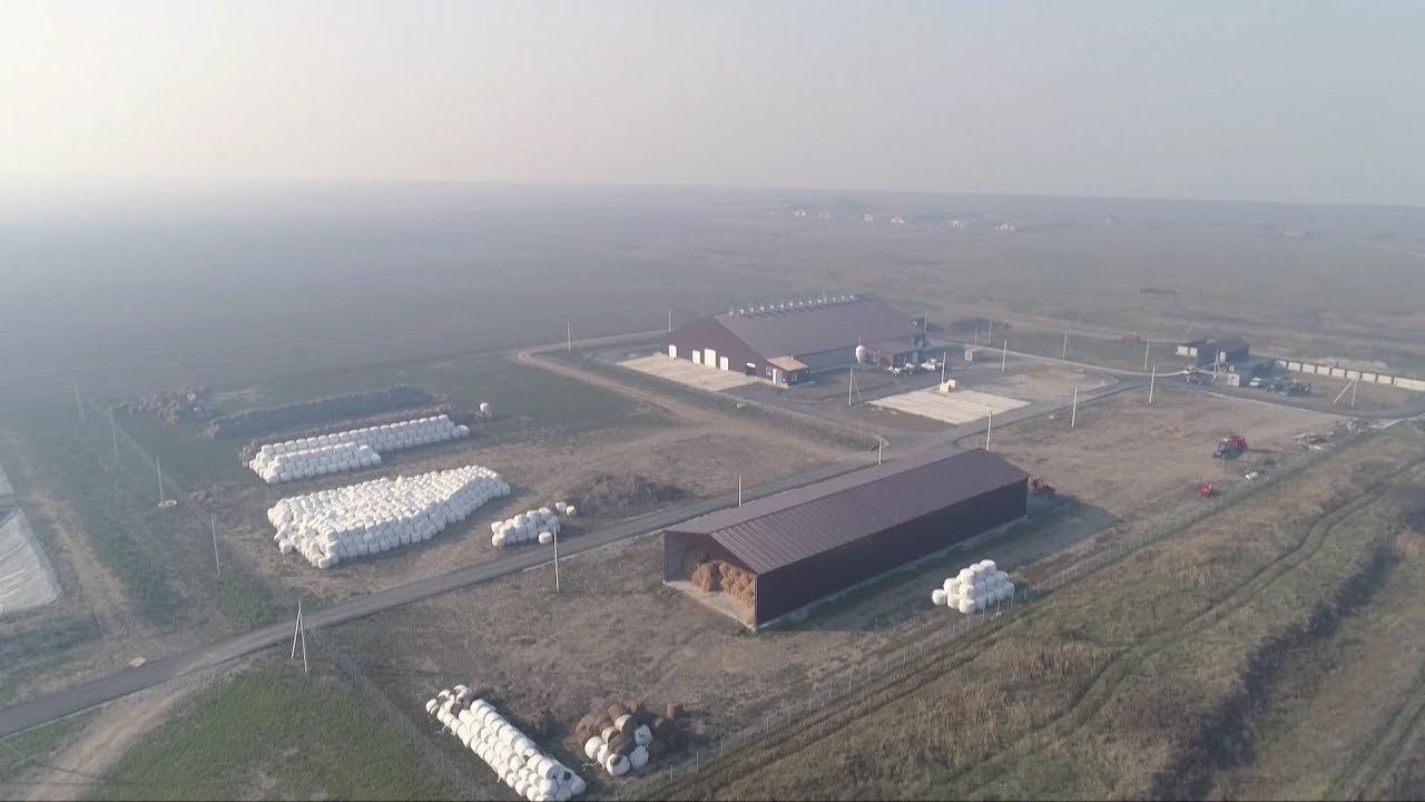 Монбельярды и теплицы на биотопливе | «Край аграрный»