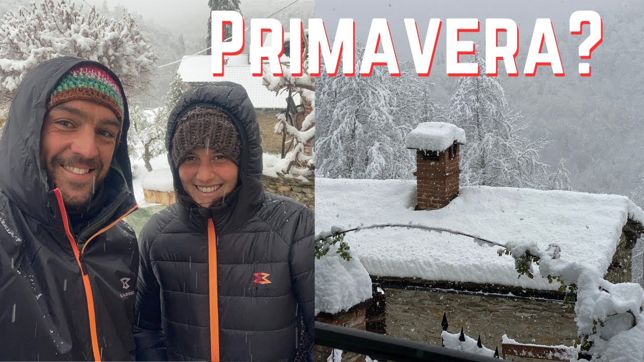 Nevica, Miele torna a casa, nuove opportunità - Finalmente Felici! - Ep. 548  - Vivere in Montagna
