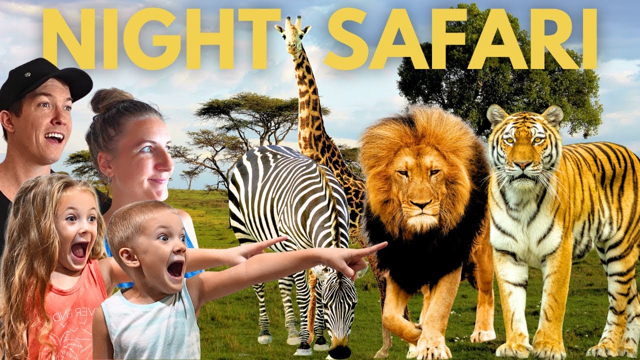 What It's Like At Chiang Mai Night Safari