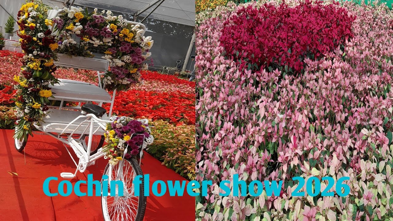 Cochin flower show 2026