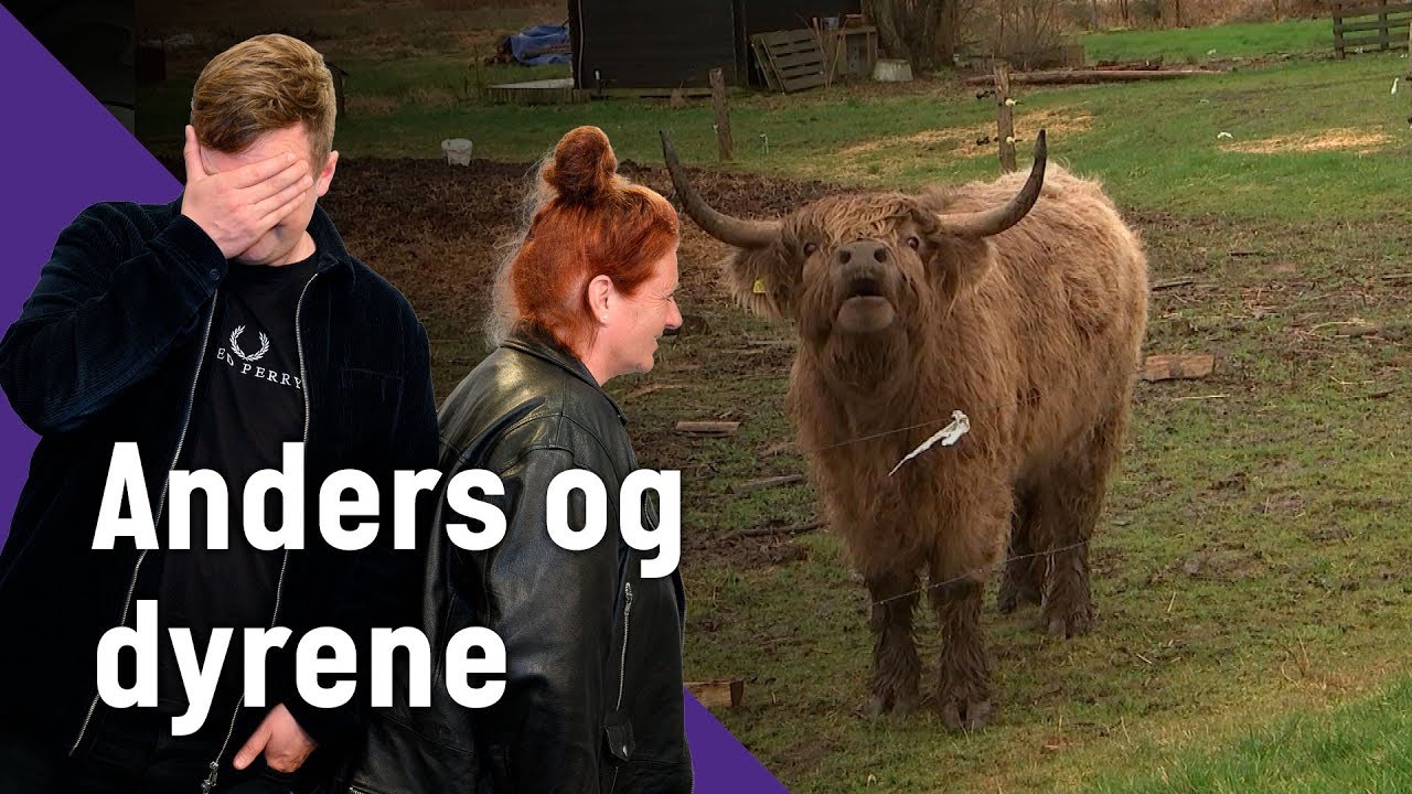 Anders og dyrene | FOTOVOGNEN | TV MIDTVEST