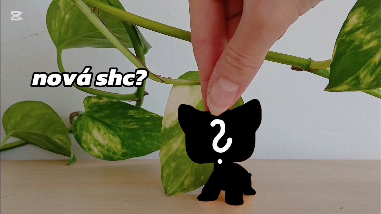 LPS shc unboxing || LPS Ashlin