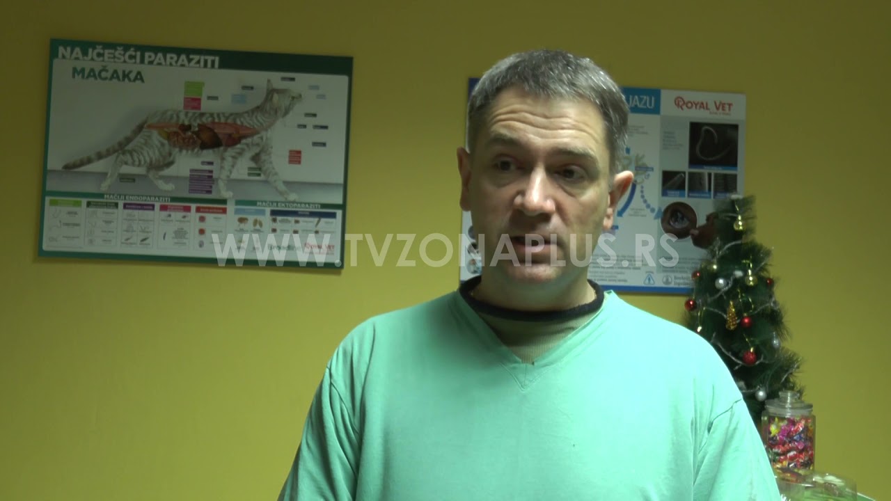 ZA&Scaron;TITIMO ŽIVOTINJE OD HLADNOĆE!