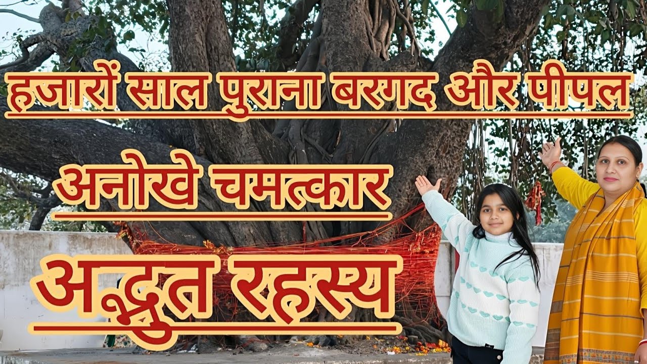 हजारों साल पुराने बरगद और पीपल का रहस्य अद्भुत चमत्कार 😨