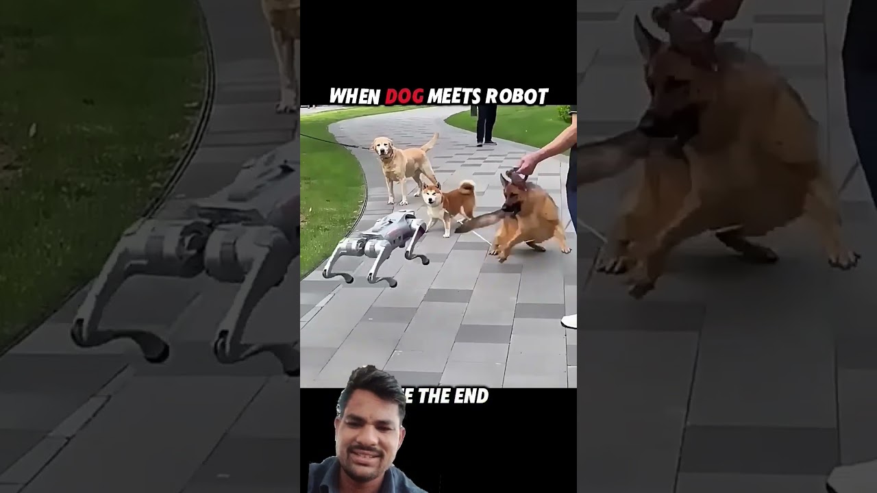 ek robot kutte aur real kutte ke aamna samna trending short video