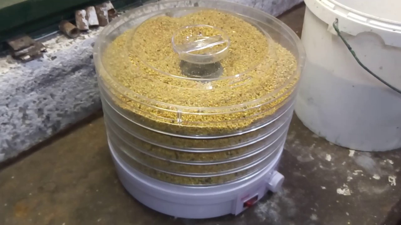 How to Dry Bee Pollen