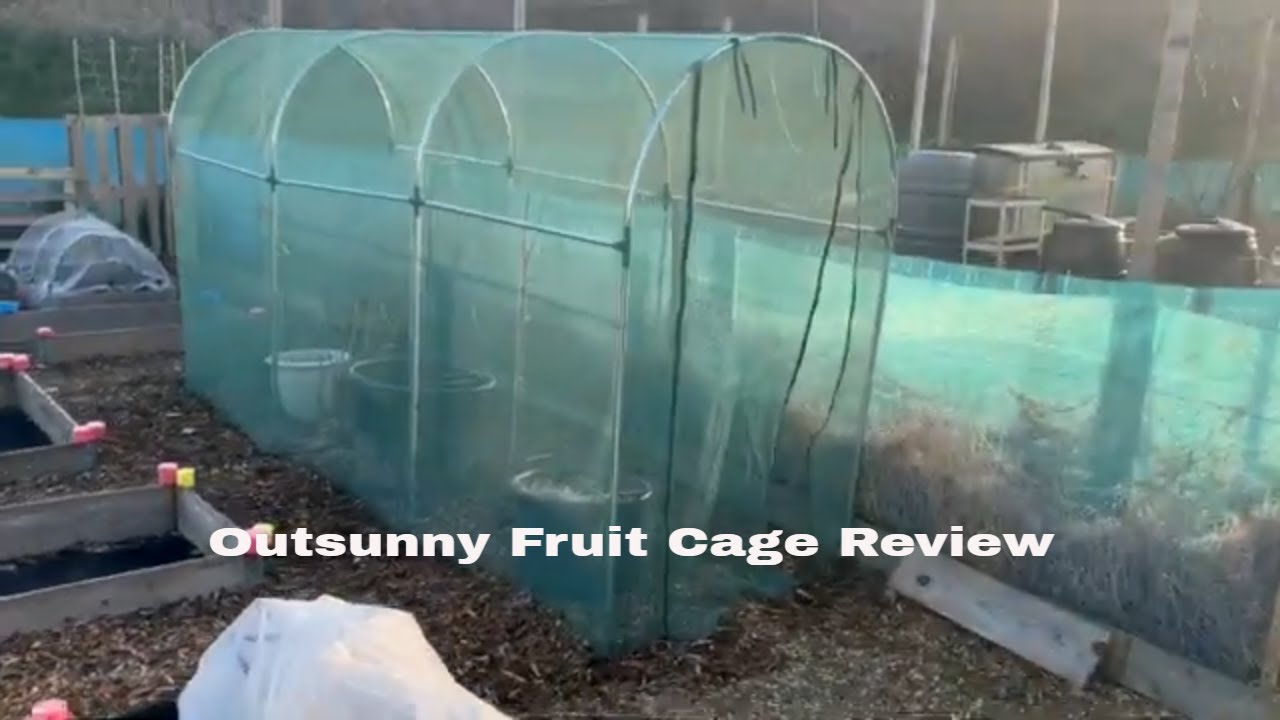 Mesh Tunnels Are Saving My Entire Garden Space
